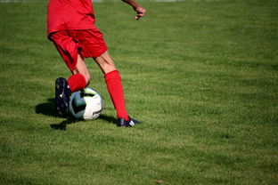 开云体育官方网站-塔斯马尼亚联防守体系稳固，力求半决赛再创佳绩