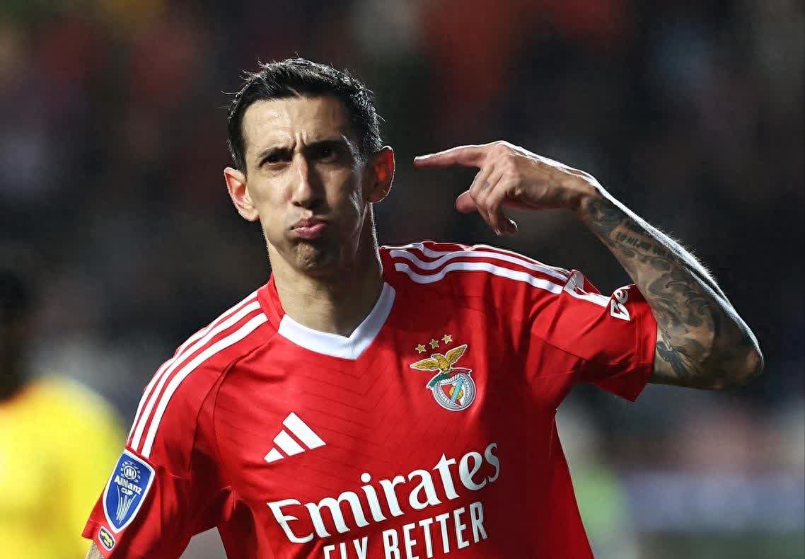 开云体育app-本菲卡队迎战成功，奠定胜局！的简单介绍