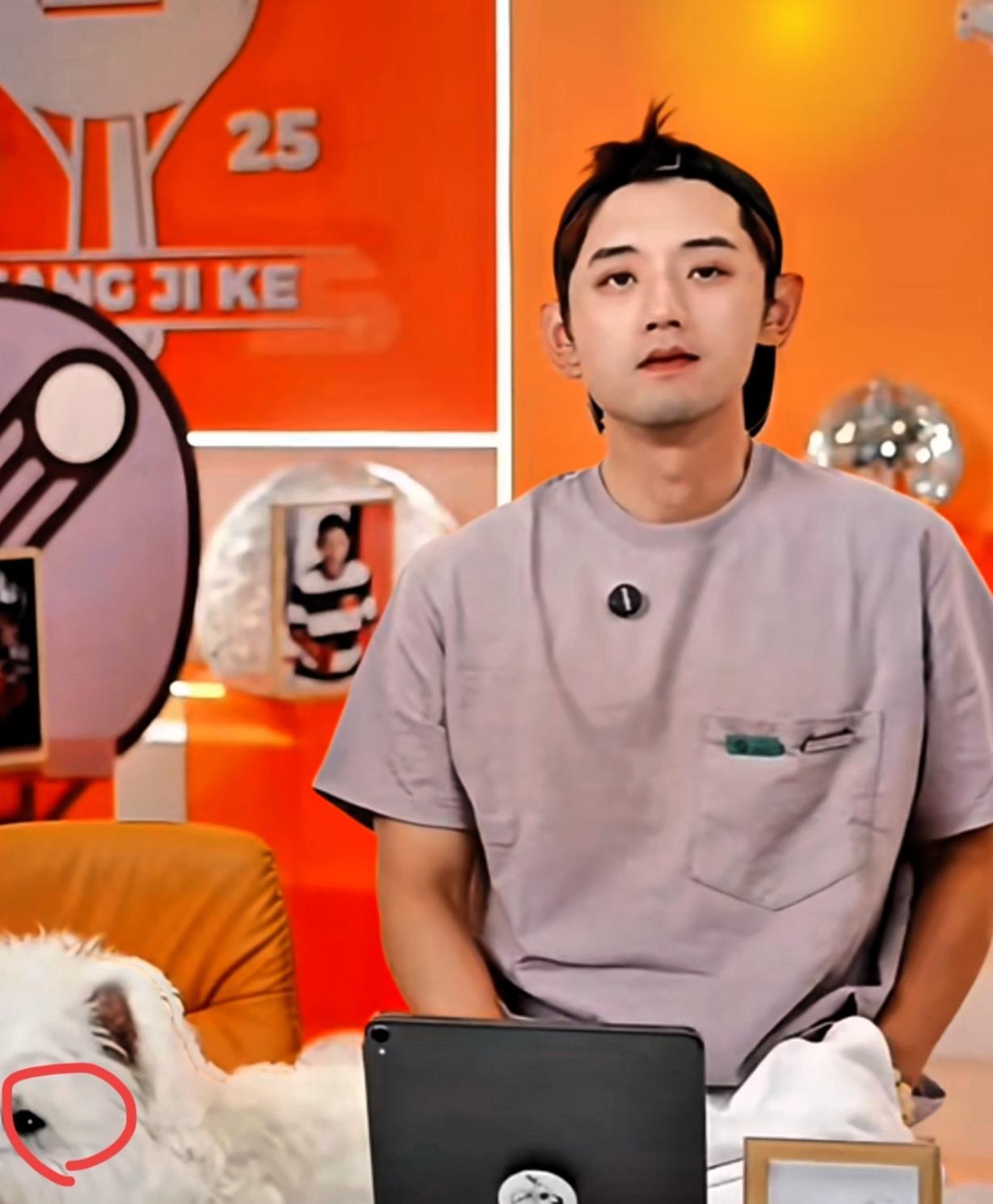 张继科的退赛让粉丝惊险的简单介绍