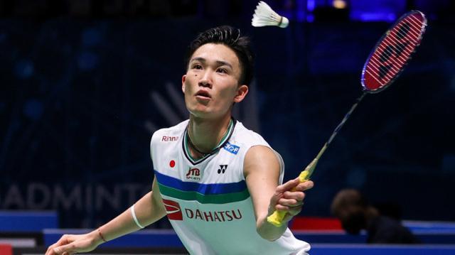 开云体育官网-日本羽毛球队横扫法国羽毛球队，桃田贤斗打破历史纪录的简单介绍