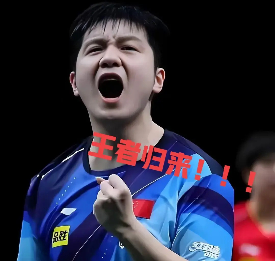 开云体育APP下载-法国队碾压波兰队，樊振东统治全场